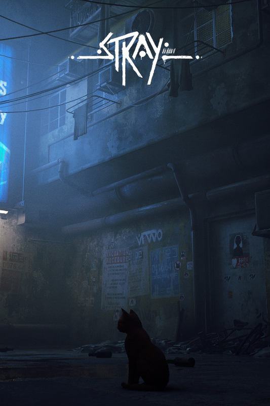 Stray